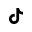 TikTok icon